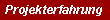 Projekterfahrung